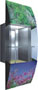 Observation Elevator